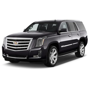 Airport Transfers